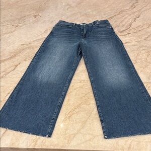 Frame Denim Dark Blue Le Slim Palazzo